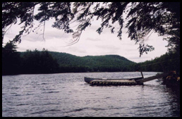 Image Number Four