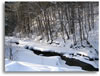 Creek peeping through the snow-covered mountain side (66kb)